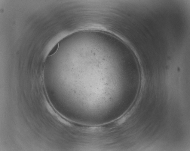 X0000052571390200507011210