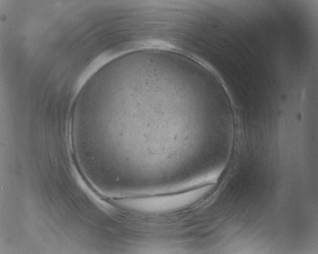 X0000052571391200507011210