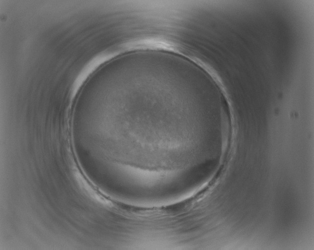 X0000052571392200507011209