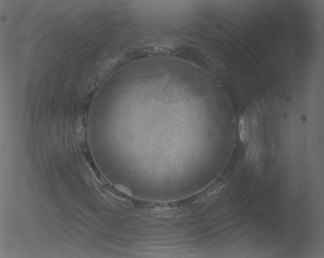 X0000052571395200507011209