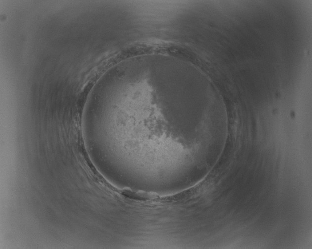 X0000052571397200507011209