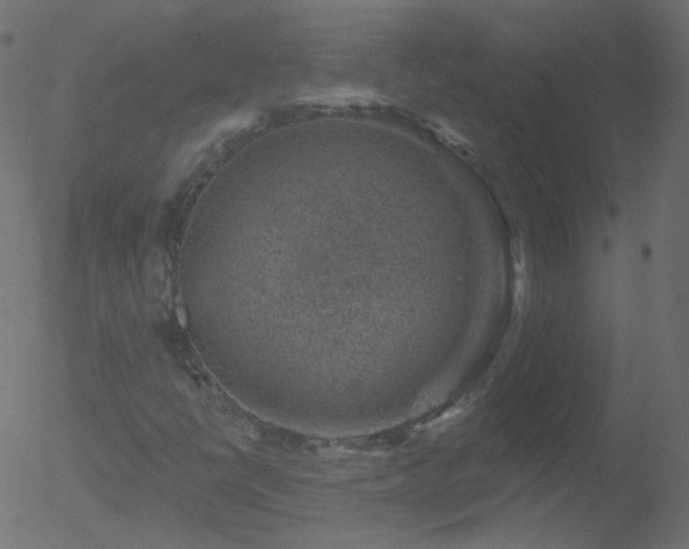 X0000052571398200507011209