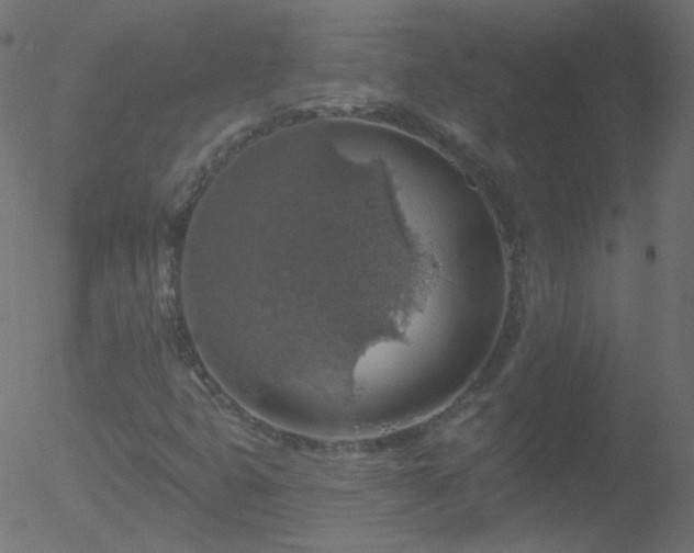 X0000052571399200507011209