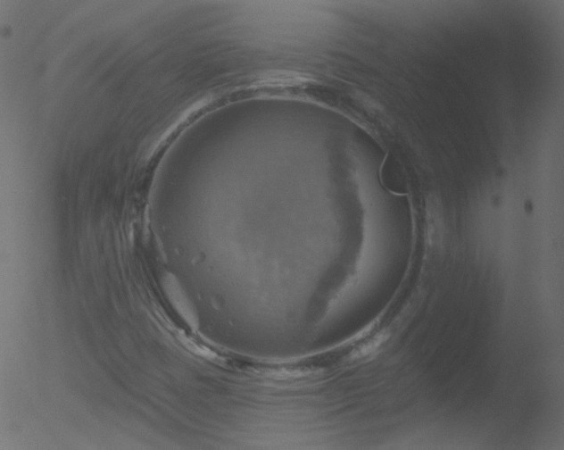 X0000052571401200507011209