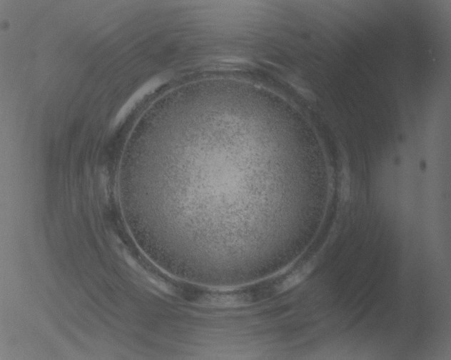 X0000052571402200507011209