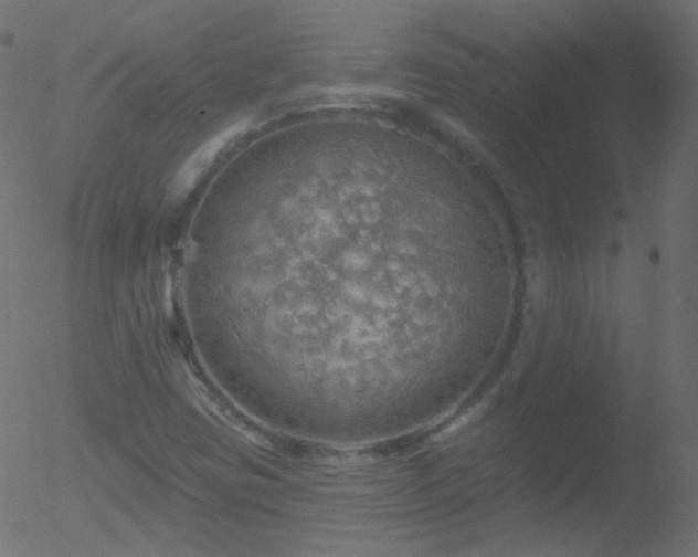 X0000052571403200507011209