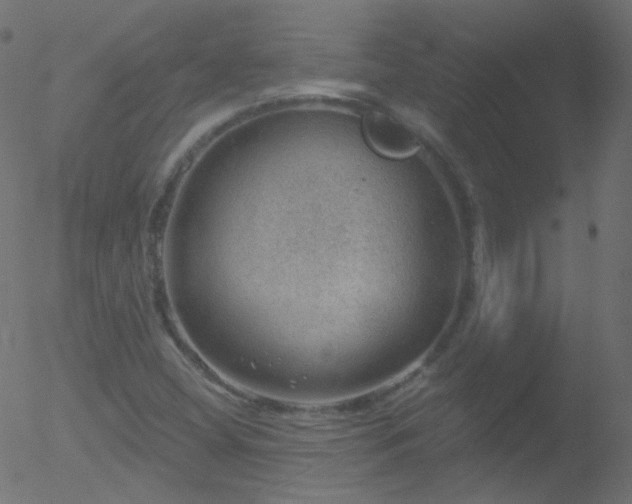 X0000052571404200507011209