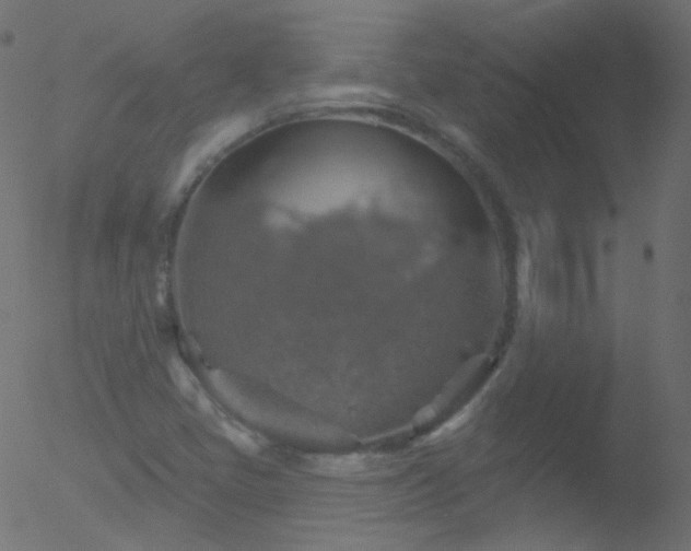 X0000052571405200507011209