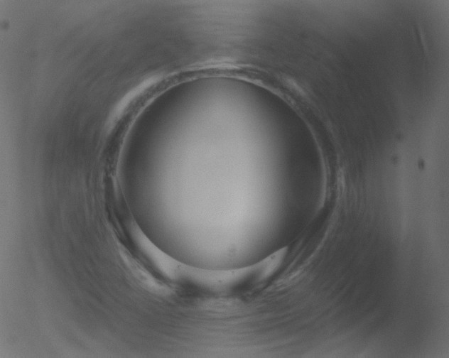 X0000052571406200507011209