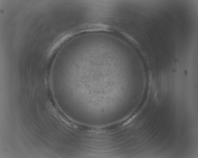 X0000052571407200507011209