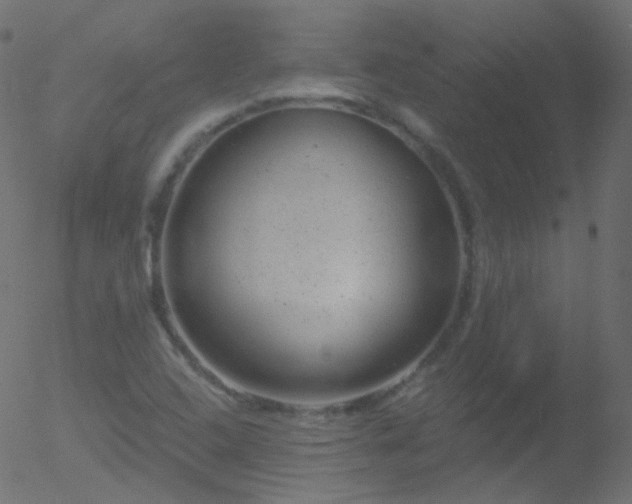 X0000052571408200507011209