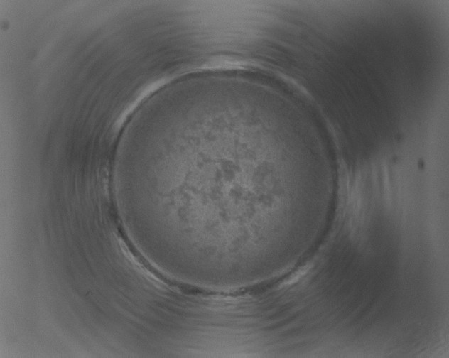 X0000052571409200507011209