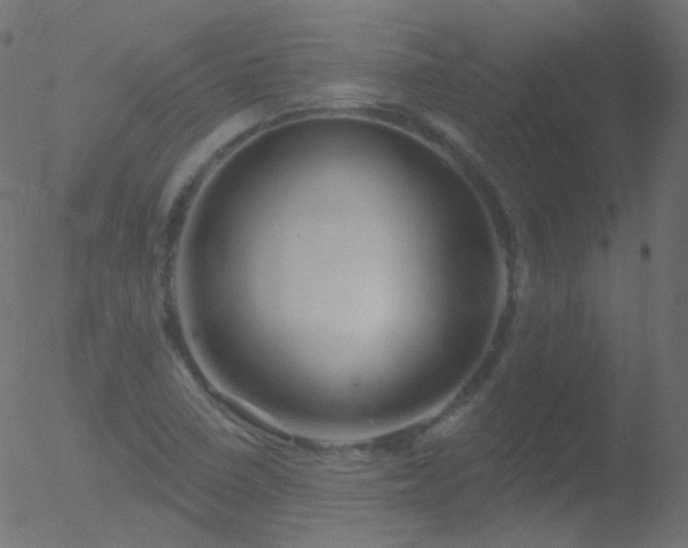 X0000052571410200507011209