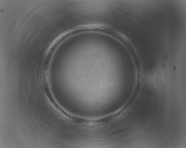 X0000052571412200507011209