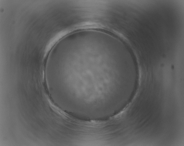 X0000052571413200507011209