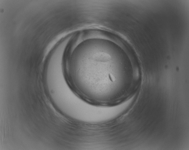 X0000052571414200507011209