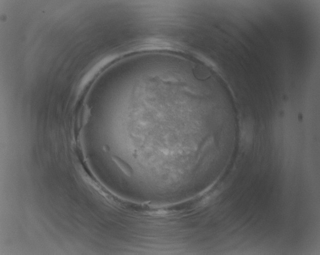 X0000052571415200507011209