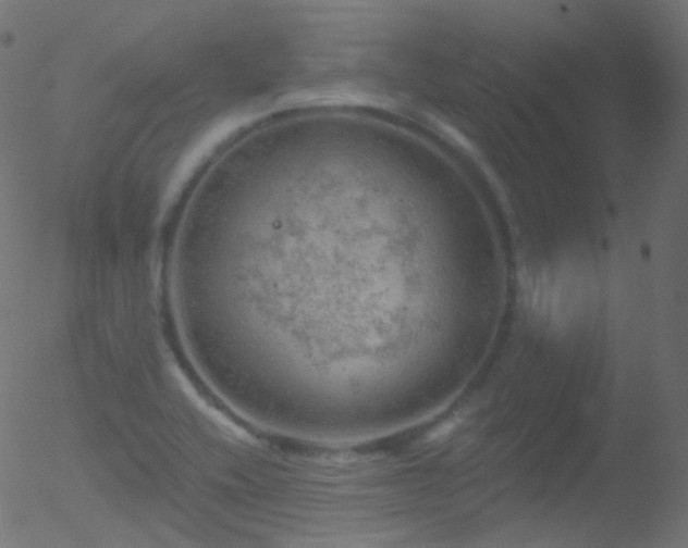 X0000052571416200507011209