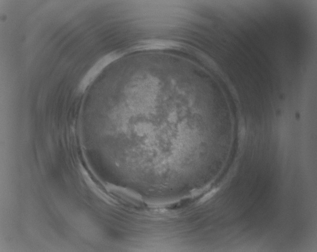 X0000052571417200507011209