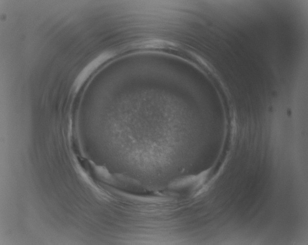 X0000052571418200507011209