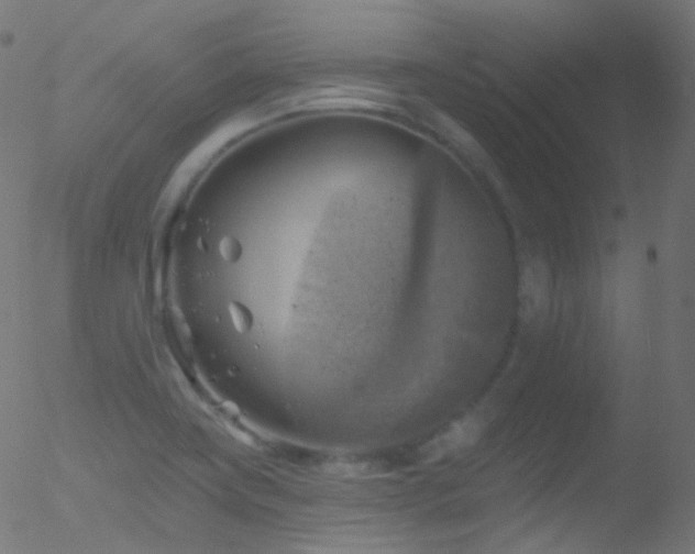 X0000052571419200507011209