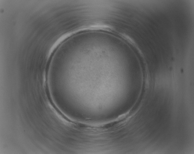 X0000052571420200507011209