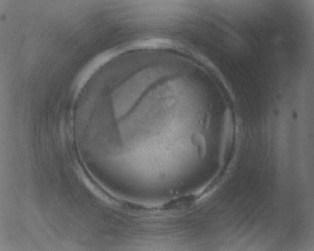 X0000052571421200507011209