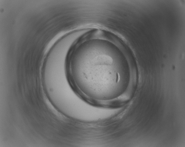 X0000052571422200507011209