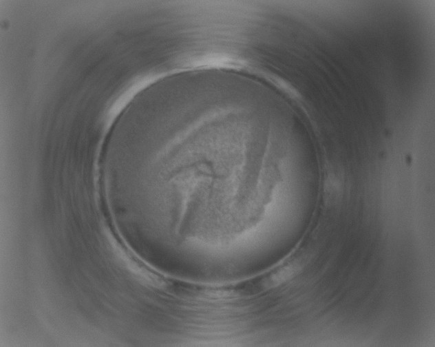 X0000052571423200507011209