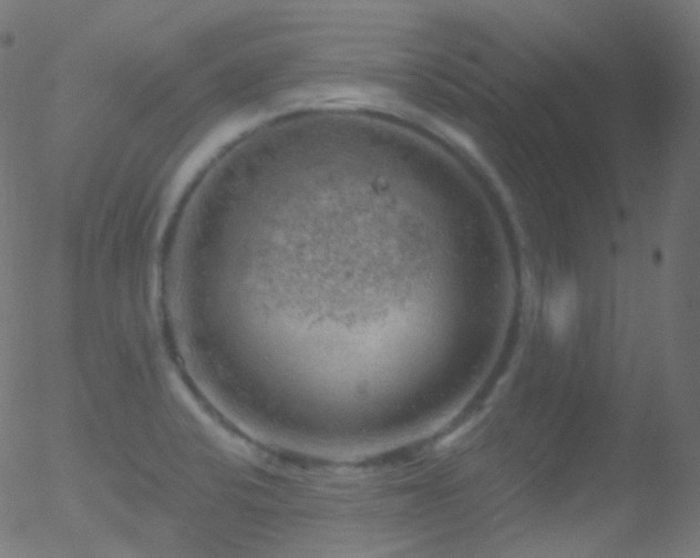 X0000052571424200507011209