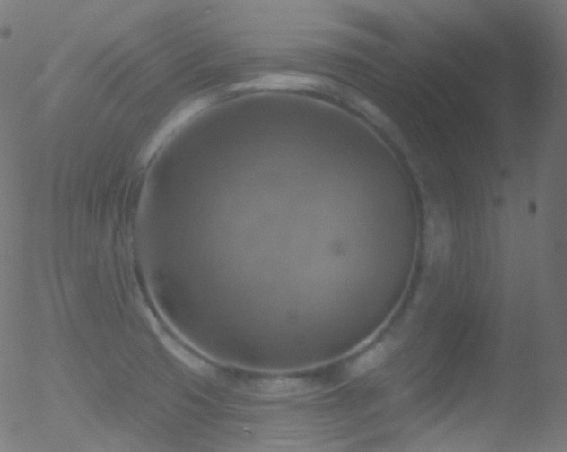 X0000052571425200507011209