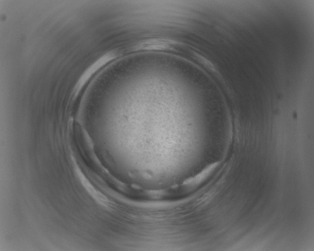 X0000052571426200507011209