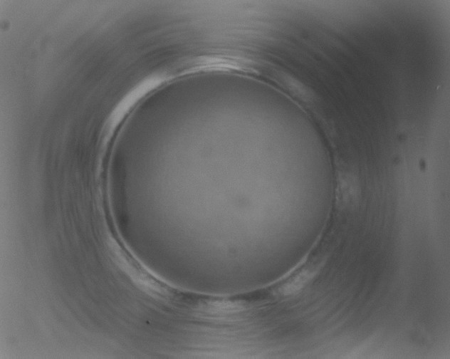 X0000052571427200507011209