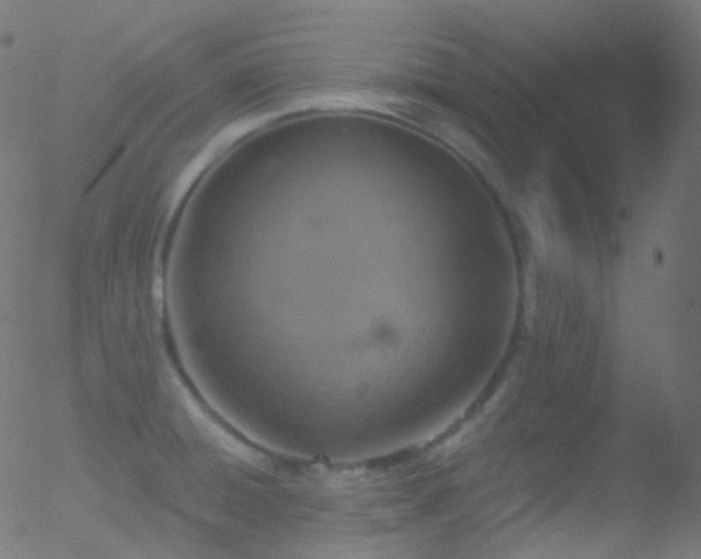 X0000052571428200507011209