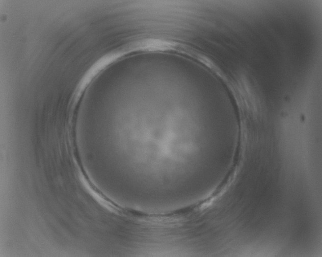 X0000052571429200507011209