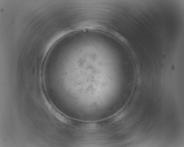 X0000052571431200507011209