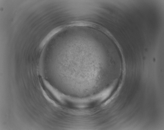 X0000052571433200507011209