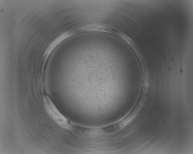 X0000052571434200507011209