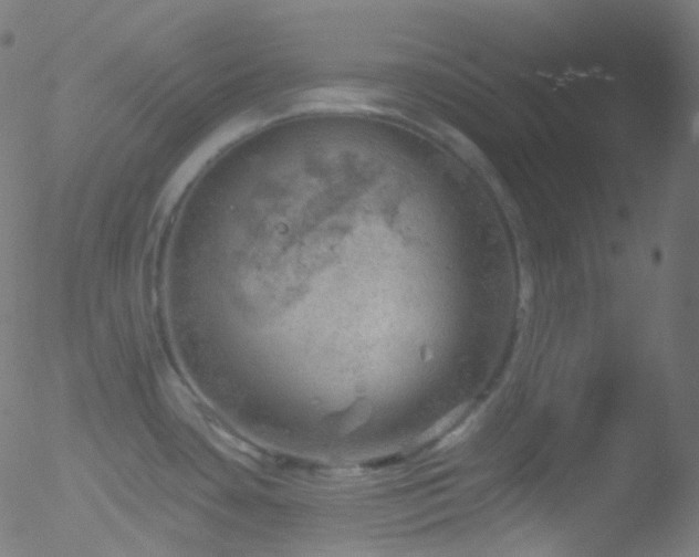 X0000052571435200507011209