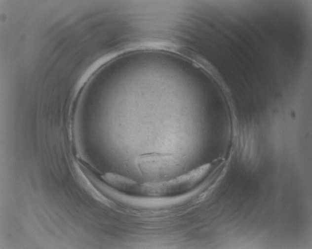 X0000052571436200507011209