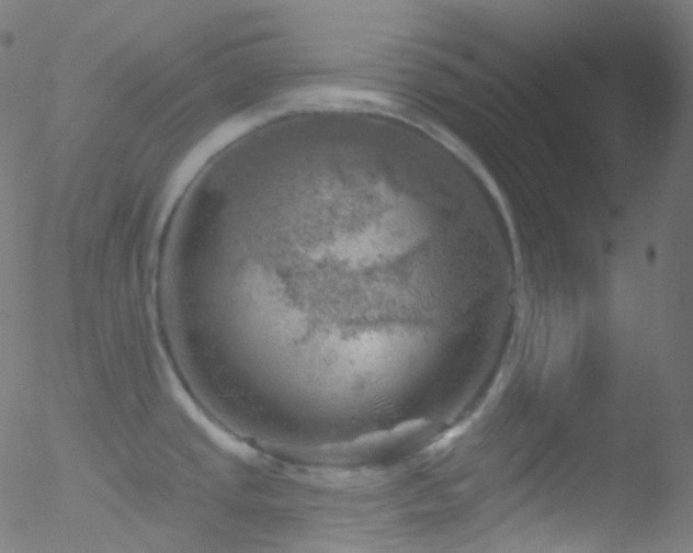 X0000052571437200507011209