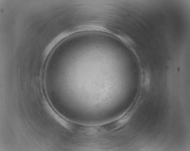 X0000052571438200507011209