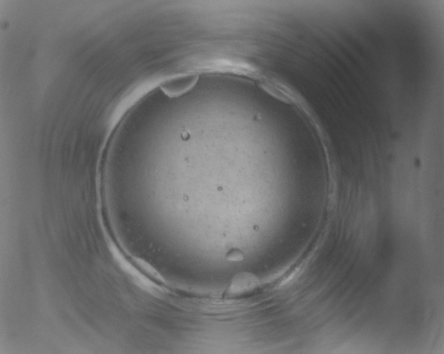 X0000052571439200507011209