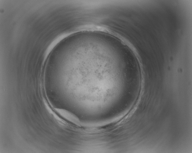 X0000052571440200507011209