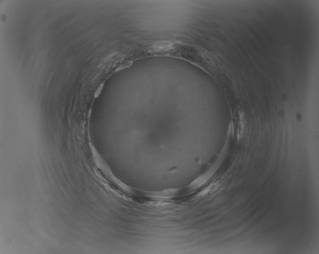 X0000052571441200507011209