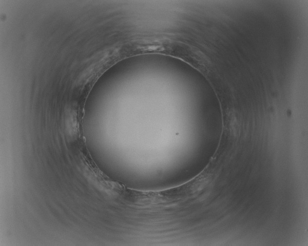 X0000052571442200507011209