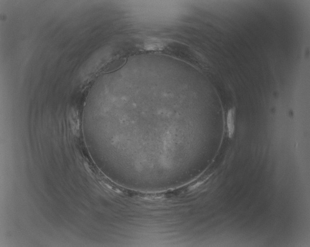 X0000052571443200507011209