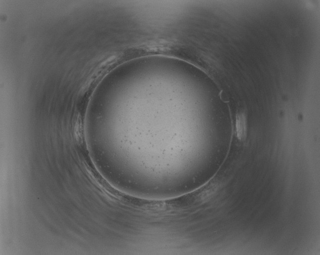 X0000052571444200507011209