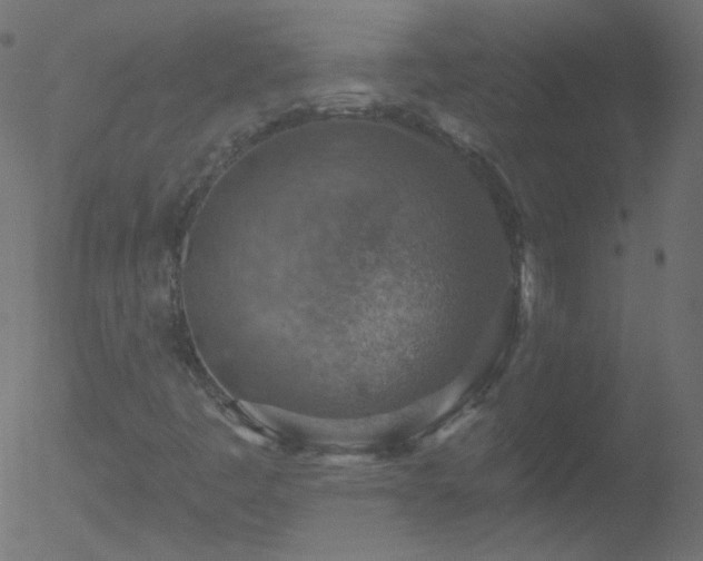 X0000052571445200507011209