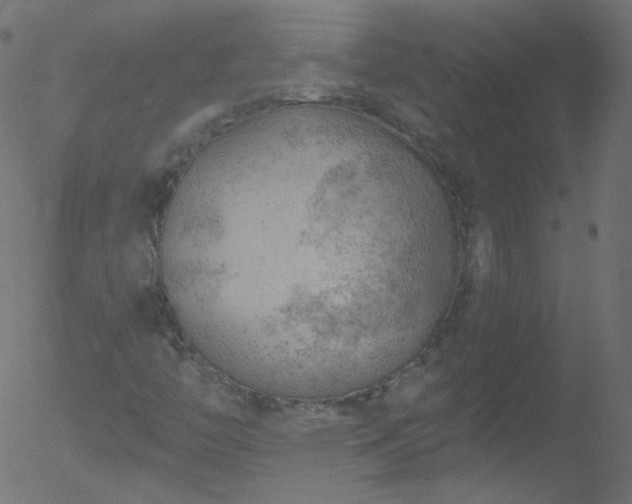 X0000052571446200507011209